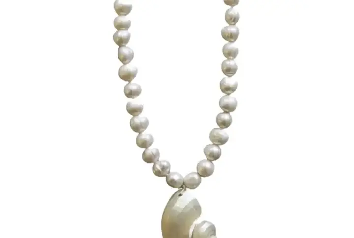 Handmade Seashell Pendant Necklace with Titanium Steel Beads and Large Freshwater Pearl