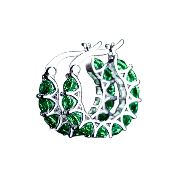 Vivid Zircon Hoop Earrings Sg Keira K